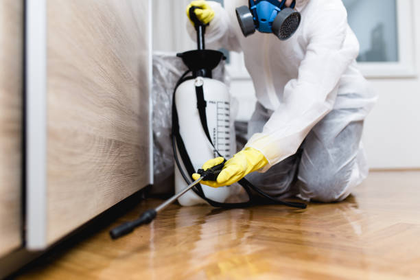 Best Flea Control Services  in Rio, VA