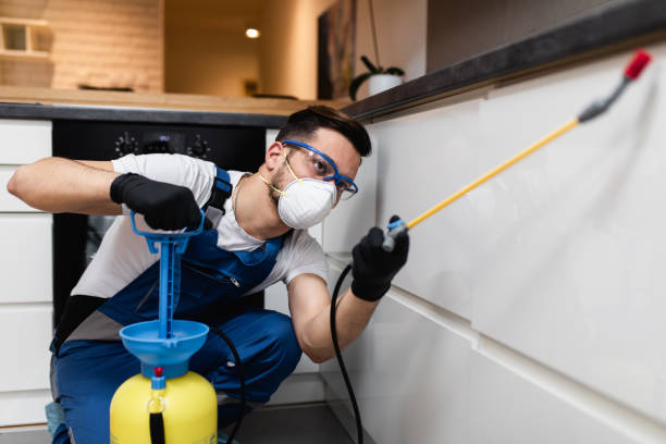 Best Commercial Pest Control Services  in Rio, VA
