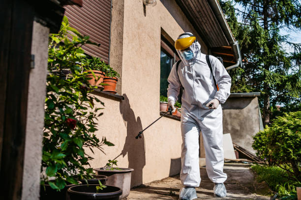 Best Termite Control Services  in Rio, VA