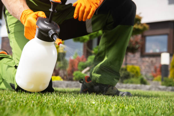 Best Pest Removal Services  in Rio, VA
