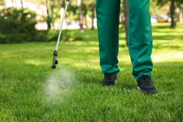 Best Wildlife Control Services  in Rio, VA