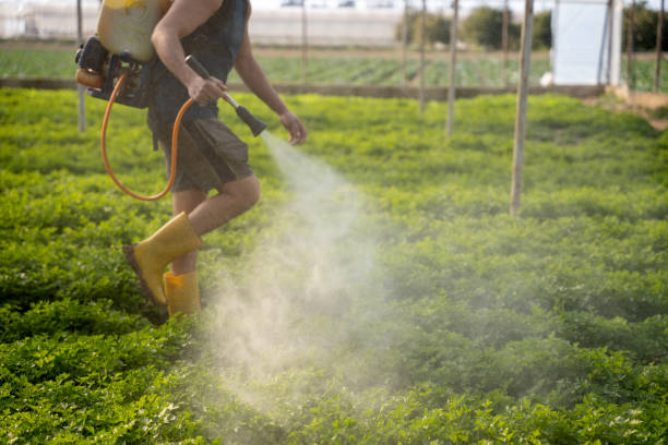 Best Best Pest Control Companies  in Rio, VA